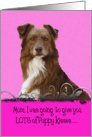 Mothers Day Licker License - featuring a red Australian Shepherd card