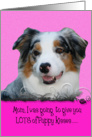 Mothers Day Licker License - featuring a blue merle Australian Shepherd card