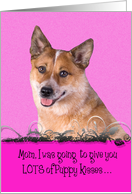 Mothers Day Licker License - featuring an Australian Cattle Dog card