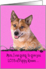 Mothers Day Licker License - featuring an Australian Cattle Dog card