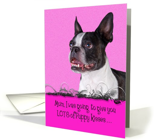 Mothers Day Licker License - featuring a Boston Terrier card (795618)