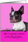 Mothers Day Licker License - featuring a Boston Terrier card