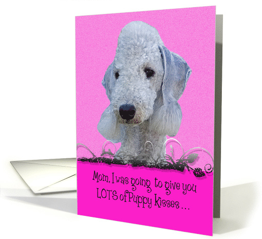 Mothers Day Licker License - featuring a Bedlington Terrier card