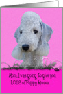 Mothers Day Licker License - featuring a Bedlington Terrier card
