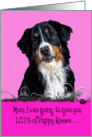 Mothers Day Licker License - featuring a Bernese Mountain Dog card