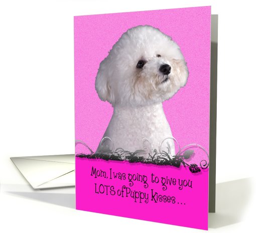 Mothers Day Licker License - featuring a Bichon Frise card (795622)