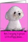 Mothers Day Licker License - featuring a Bichon Frise card