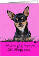 Mothers Day Licker License - featuring a black and tan Chihuahua card