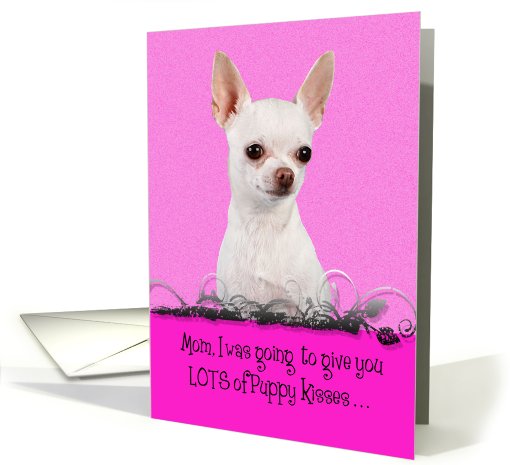 Mothers Day Licker License - featuring a white Chihuahua card (795687)