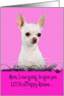Mothers Day Licker License - featuring a white Chihuahua card