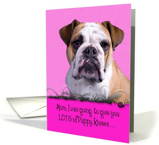 Mothers Day Licker License - featuring an English Bulldog card