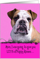 Mothers Day Licker License - featuring an English Bulldog card