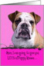 Mothers Day Licker License - featuring an English Bulldog card