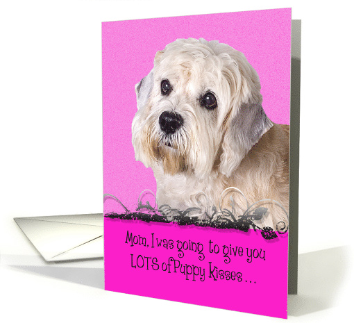Mothers Day Licker License - featuring a Dandie Dinmont Terrier card
