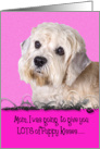 Mothers Day Licker License - featuring a Dandie Dinmont Terrier card