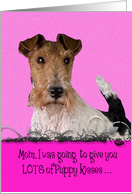 Mother’s Day Licker License - featuring a Wire Fox Terrier card