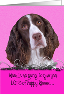 Mother’s Day Licker License - featuring a liver/white English Springer Spaniel card