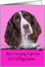 Mother’s Day Licker License - featuring a liver/white English Springer Spaniel card