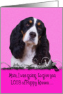 Mother’s Day Licker License - featuring a tri-colored English Springer Spaniel card
