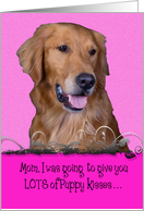 Mother’s Day Licker License - featuring a Golden Retriever card