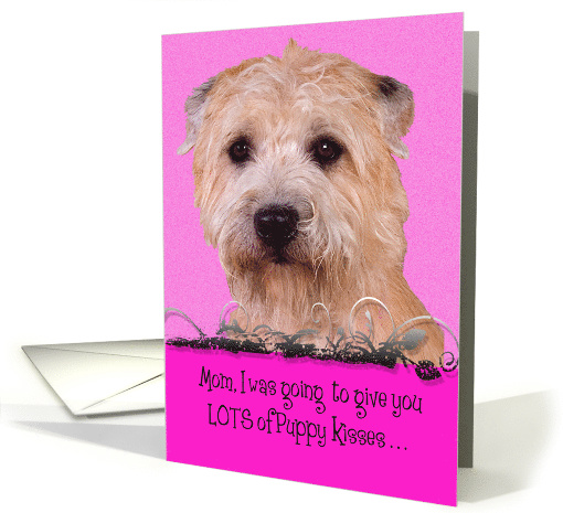 Mother's Day Licker License - featuring a Glen of Imaal Terrier card