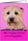 Mother’s Day Licker License - featuring a Glen of Imaal Terrier card