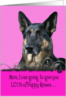 Mother’s Day Licker License - featuring a German Shepherd Dog card