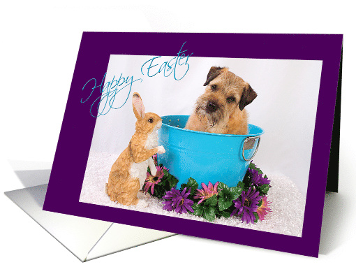 Happy Easter - featuring a Border Terrier w/ bunny friend card