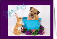 Happy Easter - featuring a Border Terrier w/ bunny friend card