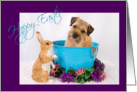 Happy Easter - featuring a Border Terrier w/ bunny friend card