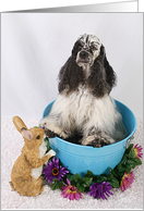 Happy Easter Card - featuring an American Cocker Spaniel card