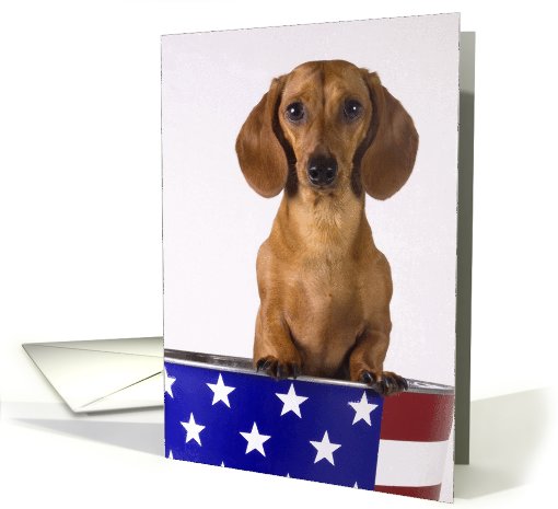 Patriotic Dachshund - all occasion card (802344)