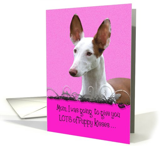Mother's Day Licker License - featuring an Ibizan Hound card (802386)