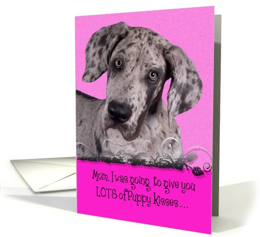 Mother's Day Licker License - featuring Great Dane puppy card (802387)
