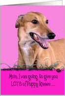 Mother’s Day Licker License - featuring a Greyhound card