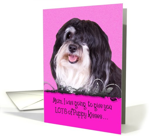 Mother's Day Licker License - featuring a Havanese card (802392)