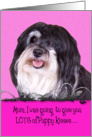 Mother’s Day Licker License - featuring a Havanese card