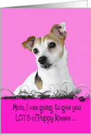 Mother’s Day Licker License - featuring a Jack Russell Terrier card