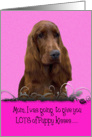 Mother’s Day Licker License - featuring an Irish Setter card