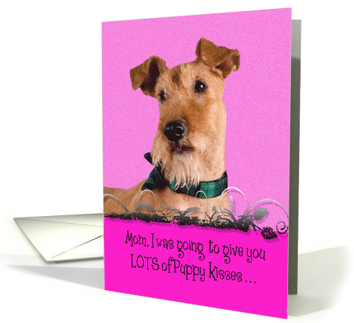 Mother's Day Licker License - featuring an Irish Terrier card (802655)