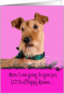 Mother’s Day Licker License - featuring an Irish Terrier card