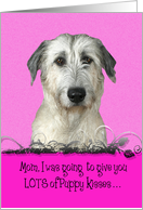 Mother’s Day Licker License - featuring an Irish Wolfhound card