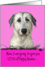 Mother’s Day Licker License - featuring an Irish Wolfhound card