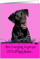 Mother’s Day Licker License - featuring a black Labrador Retriever card