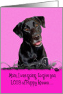 Mother’s Day Licker License - featuring a black Labrador Retriever card