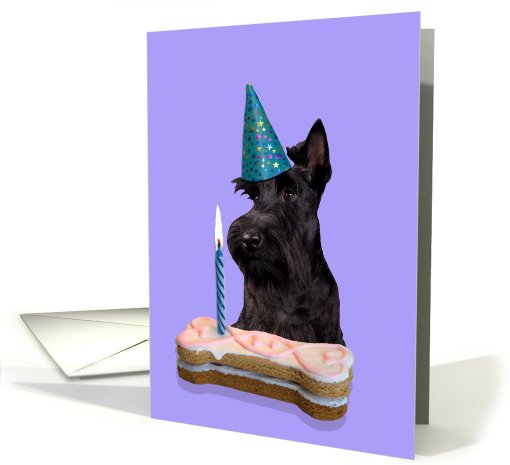 Birthday Card featuring a black Scottish Terrier card (806283)