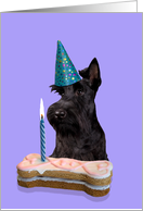 Birthday Card featuring a black Scottish Terrier card