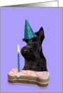 Birthday Card featuring a black Scottish Terrier card