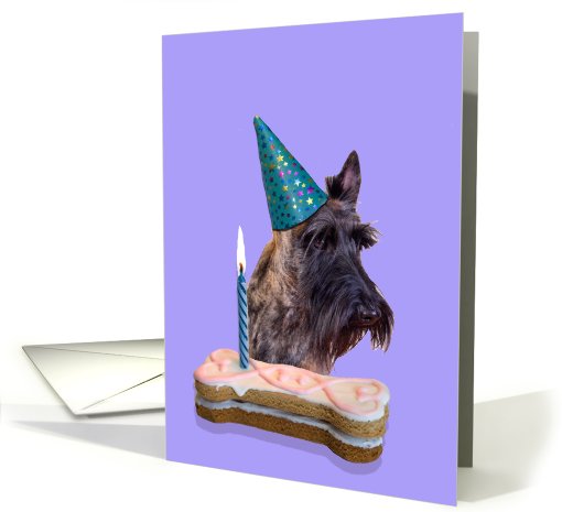 Birthday Card featuring a brindle Scottish Terrier card (806285)