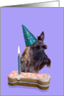 Birthday Card featuring a brindle Scottish Terrier card